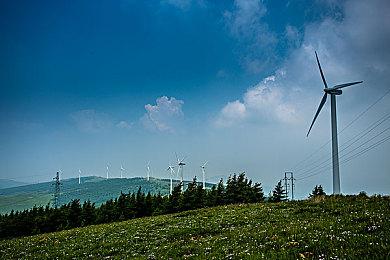 佛州小丑发“最后通牒” 要求R星赔偿1000万美元